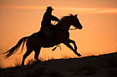 Ausritt im Winter auf Hideout Ranch, Shell, Wyoming. Cowboy, der sein Pferd reitet, das bei Sonnenuntergang silhouettiert wird.