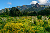 Die Harenna-Steilstufe. Bale-Mountains-Nationalpark. Äthiopien.