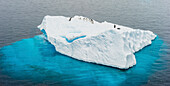 Antarctica, Gentoo, penguins, iceberg