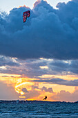 Kiters in the evening light at Grossenbroder West Beach, Baltic Sea, Ostholstein, Schleswig-Holstein, Germany