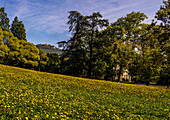 Parco Termale, im Hintergrund Bergdorf Montecatini Alto und Terme Tettuccio, Montecatini Terme, Toskana, Italien