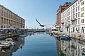 View towards the sea on the Grand Canal in Trieste, Friuli Venezia Giulia, Italy.