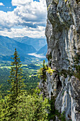 Felswand am Predigtstuhl bei Bad Goisern mit Blick auf den Hallstätter See und das Dachsteinmassiv, Salzkammergut, Oberösterreich, Österreich