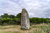 Kermaillard menhir near Sarzeau, Brittany, France