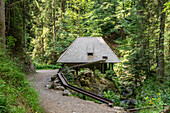 Die Großjockenmühle in der Ravennaschlucht bei Breitnau, Schwarzwald, Baden-Württemberg, Deutschland 