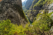 Schlucht des Moraca Fluss bei Kolašin, Montenegro, Europa 