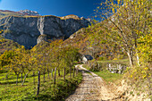 Hiking trail to Mrtvica Canyon, Montenegro, Europe
