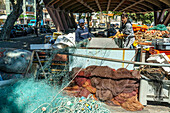 Fisherman with net at work, Porto, Portugal, Europe