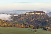 Foggy mood at the Königstein Fortress, Elbe sandstone, Saxon Switzerland, Elbe, Dresden, Saxony