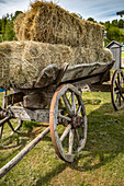 Old cart with hay