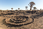 Africa, Namibia, Keetmanshoop. Rock spiral and Quiver tree Forest