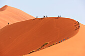 Afrika, Namibia, Namib-Wüste, Namib-Naukluft-Nationalpark, Sossusvlei, Elim-Düne. Touristen klettern auf die Elim-Düne.