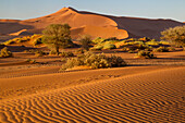 Afrika, Namibia, Namib-Wüste, Namib-Naukluft-Nationalpark, Sossusvlei. Malerische rote Dünen mit windgetriebenen Mustern im Vordergrund.