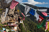 Bhutan, Paro. Prayer flags fluttering at the cliff's edge across from Taktsang Monastery, or Tiger's Nest.