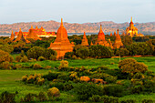 Alter Tempel und Pagode, die sich bei Sonnenaufgang aus dem Dschungel erheben, Bagan, Region Mandalay, Myanmar