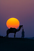 Kamel und Mensch bei Sonnenuntergang, Wüste Thar, Rajasthan, Indien