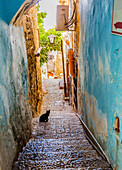Old Stone Street Alleyway Black Cat Safed Tsefat Israel Many famous synagogues located in Safed.