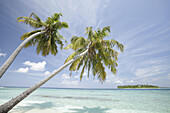 North Huvadhoo Atoll, Southern Maldives, Indian Ocean