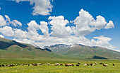 Summer pasture with traditional Yurts. The Suusamyr plain, a high valley in Tien Shan Mountains, Kyrgyzstan