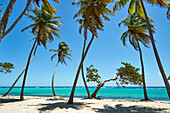 Karibik, Französische Antillen, Guadeloupe. Insel Marie-Galante, Teil von Frankreich. Strand von Capesterre. Capesterre ist ein alter französischer Begriff aus der Seefahrt, der die Seite der karibischen Inseln bezeichnet, die zuerst auf die Passatwinde trifft.