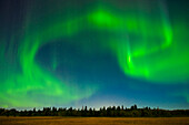 Canada, Manitoba, Birds Hill Provincial Park, green northern lights