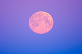 Canada, Manitoba, Dugald. Full moon at dawn