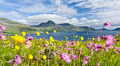 The mountains and cliffs of Streymoy with the Vestmannasund. Denmark, Faroe Islands