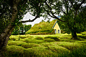 Iceland, turf-roofed Hof Church and surrounding grave mounds.