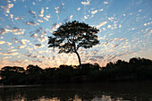 Brasilien, Pantanal, Rio Negro. Flauschige Wolken prägen den Himmel bei Sonnenuntergang über dem Rio Negro.