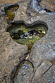 USA, Alaska, Chichagof Island, Basket Bay. Heart-shaped pool in rock