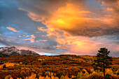 USA, Colorado, San Juan Mountains. Sunset on forest landscape