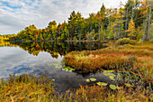 Irwin Lake and bog, Hiawatha National Forest, Upper Peninsula of Michigan.
