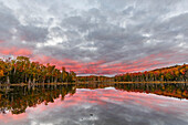 Red Jack Lake und Sunrise Reflexion, Alger County, obere Halbinsel von Michigan.