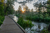 USA, Minnesota, Itasca State Park, Mississippi-Quellgebiet