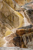 Colorful travertine terraces of Canary Spring, Mammoth Hot Springs, Yellowstone National Park, Montana, USA
