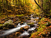 USA, New Hampshire, White Mountains, Herbstfarben auf Jefferson Brook