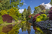 USA, Washington State, Brinnon. Whitney Garden and Nursery landscape reflects in pond.