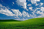 USA, Washington State, Palouse farmland