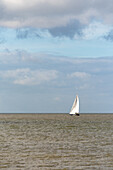 Ein Segelboot auf der Nordsee zwischen der Stadt Vlissingen und dem Strand von Groede in der niederländischen Provinz Zeeland, Niederlande
