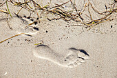 Footprint in the sand of Scharbeutz, on the Baltic Sea, Ostholstein, Schleswig-Holstein, Germany