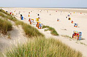 Beach chairs near Norddorf, Amrum Island, North Friesland, North Sea, Schleswig-Holstein, Germany