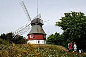 Radfahrer vor Windmühle in Süddorf, Insel Amrum, Nordfriesland, Nordsee, Schleswig-Holstein, Deutschland