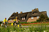Cyclists in Keitum, Sylt, North Friesland, North Sea, Schleswig-Holstein, Germany, MR