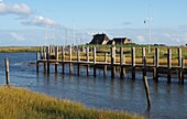 Kirchwarft, Hallig Hooge, Nationalpark Wattenmeer, Nordfriesland, Nordseeküste, Schleswig-Holstein