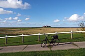 Westerwarft auf der Hallig Hooge, Nationalpark Wattenmeer, Nordfriesland, Nordseeküste, Schleswig-Holstein