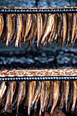 Sprotten hängen in einem Räucherofen, Binz, Insel Rügen, Mecklenburg-Vorpommern, Deutschland