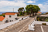 Cobbled street with houses and trees in the picturesque town of Lajes das Flores on the island of Flores, Azores