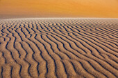 Verwehungen im Sand einer Düne in der Namib-Wüste, Namibia, Afrika