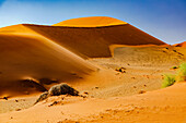 Eine Flanke einer Sanddüne vor blauem Himmel mit Tierspuren in der Wüste Namib, Namibia, Afrika