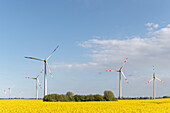 Wind turbines and blooming rapeseed field in Ostholstein, Schleswig-Holstein, Germany